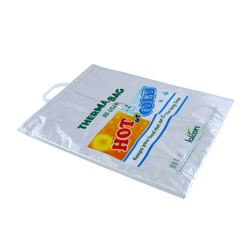 Thermal Food Bag with Handle 