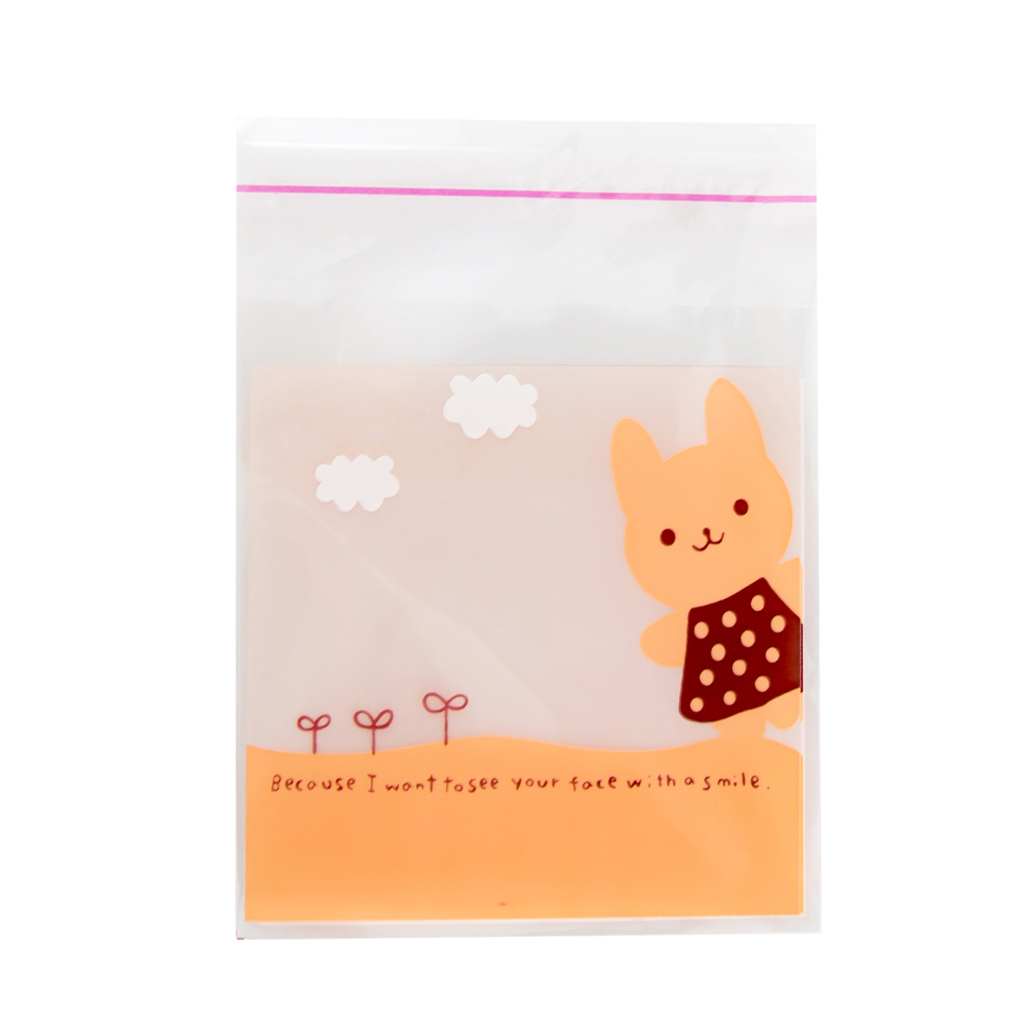 Plastic Bag for Cookies  (8 x 10 x 3 cm)
