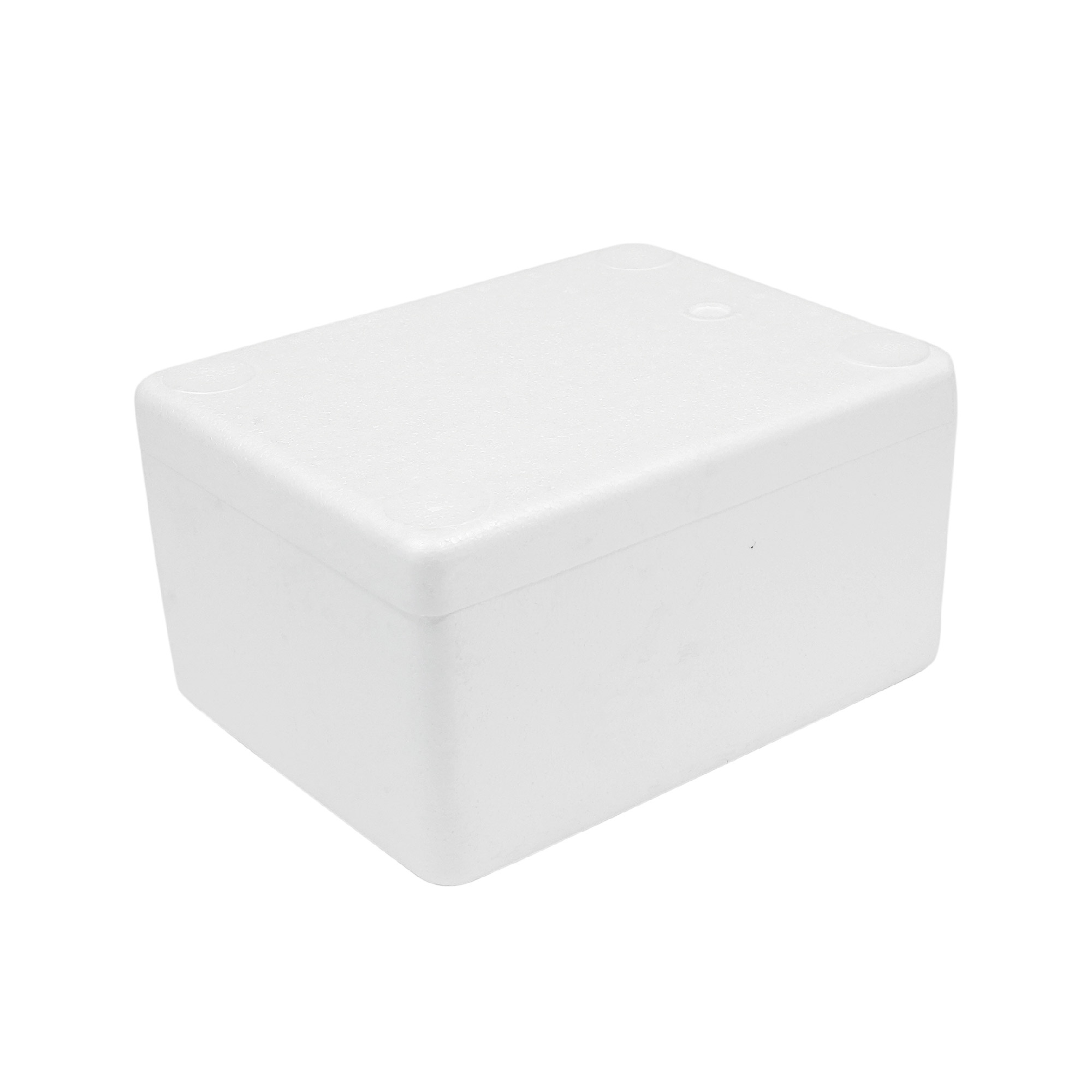 Foam Box (30 x 23 x 16 cm)