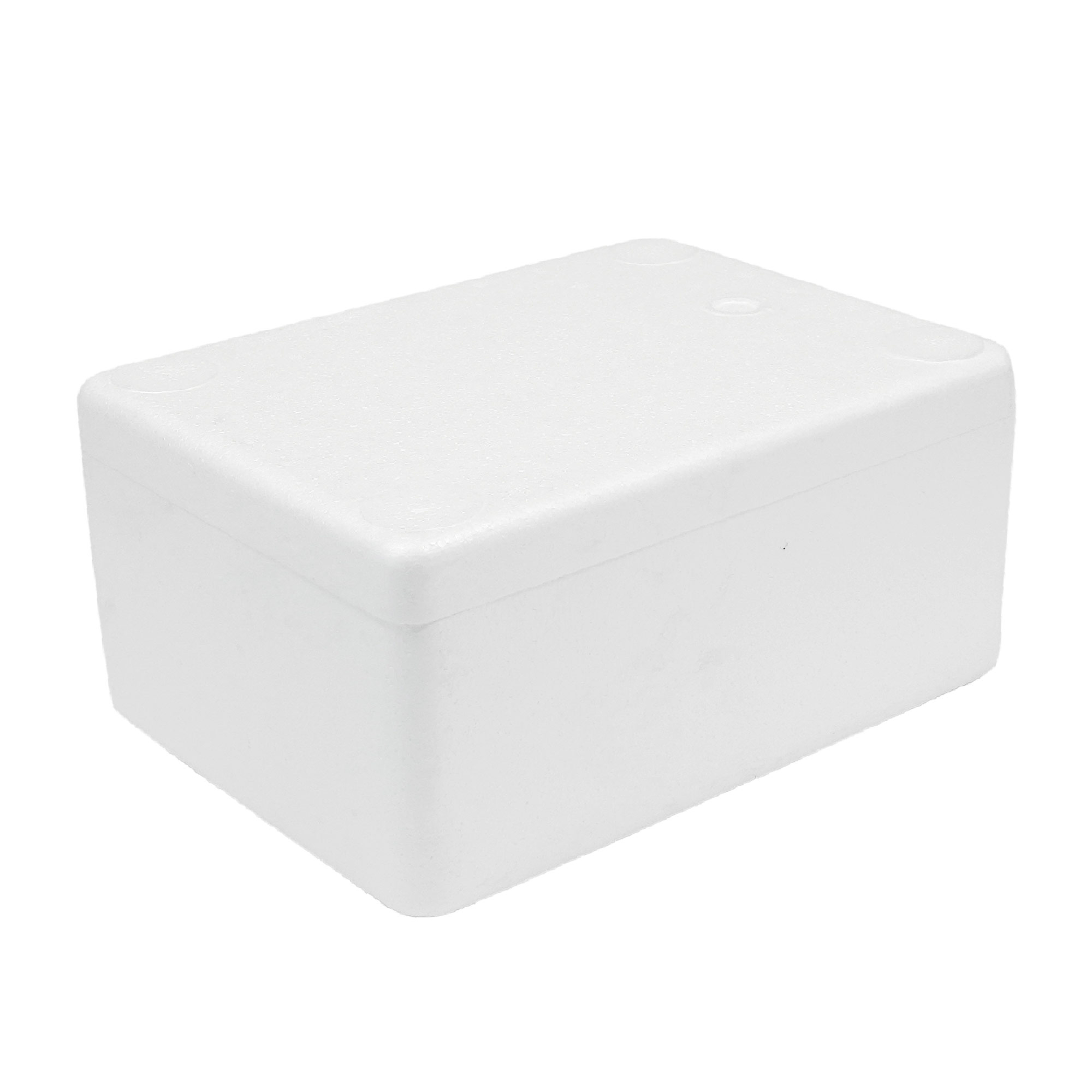 Foam Box (47.5 x 30.5 x 16.50 cm)